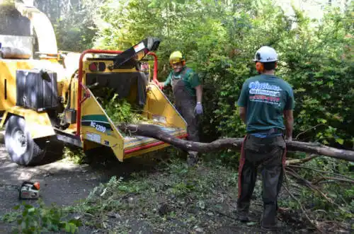 tree services Griggsville